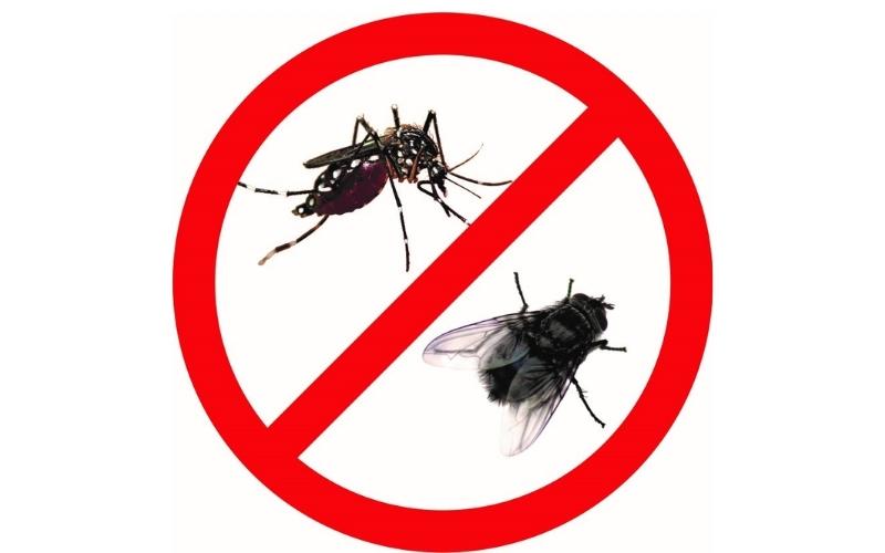 biện pháp phòng tránh ruồi