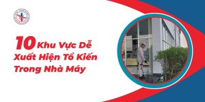 10-Khu-Vuc-De-Xuat-Hien-To-Kien-Trong-Nha-May