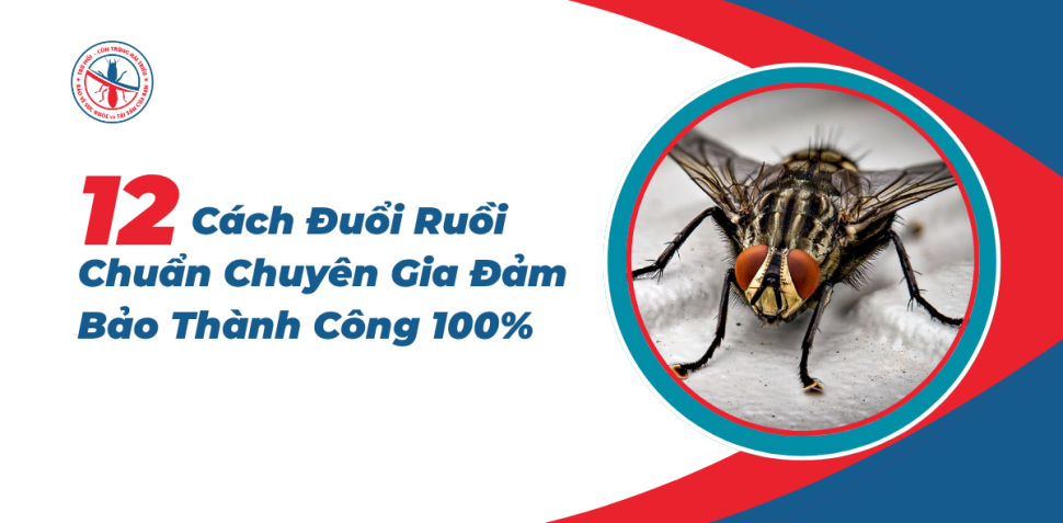 12-Cach-Duoi-Ruoi-Chuan-Chuyen-Gia-Thanh-Cong