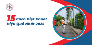 15-Cach-Diet-Chuot-Hieu-Qua-Nhat-Nam-2025