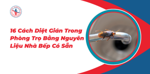 16-Cach-Diet-Gian-Trong-Phong-Tro-Bang-Nguyen-Lieu-Nha-Bep-Co-San