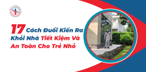 17-Cach-Duoi-Kien-Ra-Khoi-Nha-Tiet-Kiem-Va-An-Toan-Cho-Tre-Nho