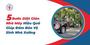 5-Buoc-Diet-Gian-Nha-May-Hieu-Qua-Giup-Dam-Bao-Ve-Sinh-Nha-Xuong