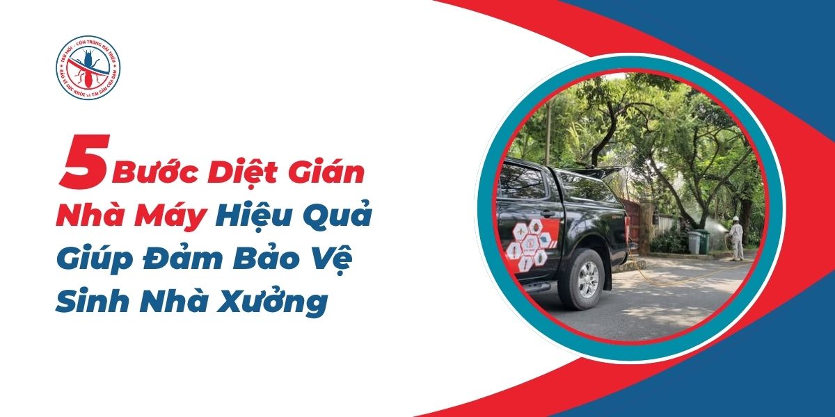 5-Buoc-Diet-Gian-Nha-May-Hieu-Qua-Giup-Dam-Bao-Ve-Sinh-Nha-Xuong