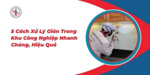 5-Cach-Xu-Ly-Gian-Trong-Khu-Cong-Nghiep-Nhanh-Chong-Hieu-Qua