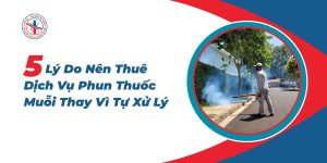 5-Ly-Do-Nen-Thue-Dich-Vu-Phun-Thuoc-Muoi-Thay-Vi-Tu-Xu-Ly