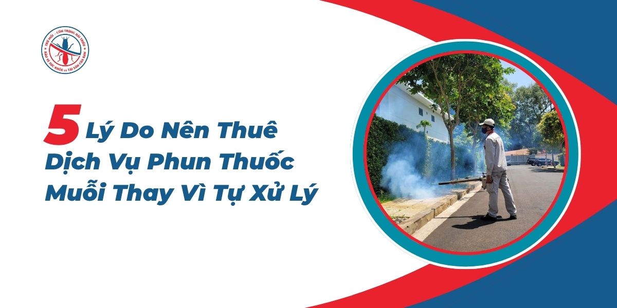 5-Ly-Do-Nen-Thue-Dich-Vu-Phun-Thuoc-Muoi-Thay-Vi-Tu-Xu-Ly