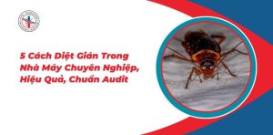 5-Cach-Diet-Gian-Trong-Nha-May-Chuyen-Nghiep-Hieu-Qua-Chuan-Audit