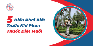 5-Dieu-Phai-Biet-Truoc-Khi-Phun-Thuoc-Diet-Muoi