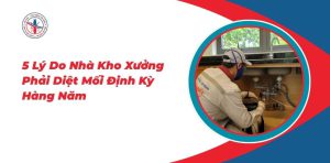 5-Ly-Do-Nha-Kho-Xuong-Phai-Diet-Moi-Dinh-Ky-Hang-Nam