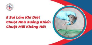 5-Sai-Lam-Khi-Diet-Chuot-Nha-Xuong-Khien-Chuot-Mai-Khong-Het