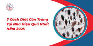 7-Cach-Diet-Con-Trung-Tai-Nha-Hieu-Qua-Nhat-2025