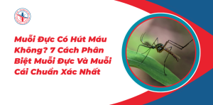 7-Cach-Phan-Biet-Muoi-Duc-Va-Muoi-Cai-Chuan-Xac-Nhat