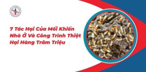 7-Tac-Hai-Cua-Moi-Khien-Nha-O-Va-Cong-Trinh-Thiet-Hai-Hang-Tram-Trieu