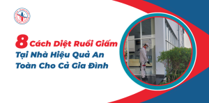 8-Cach-Diet-Ruoi-Giam-Tai-Nha-Hieu-Qua-An-Toan-Cho-Ca-Gia-Dinh
