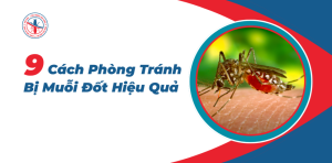 9-Cach-Phong-Tranh-Bi-Muoi-Dot-Hieu-Qua
