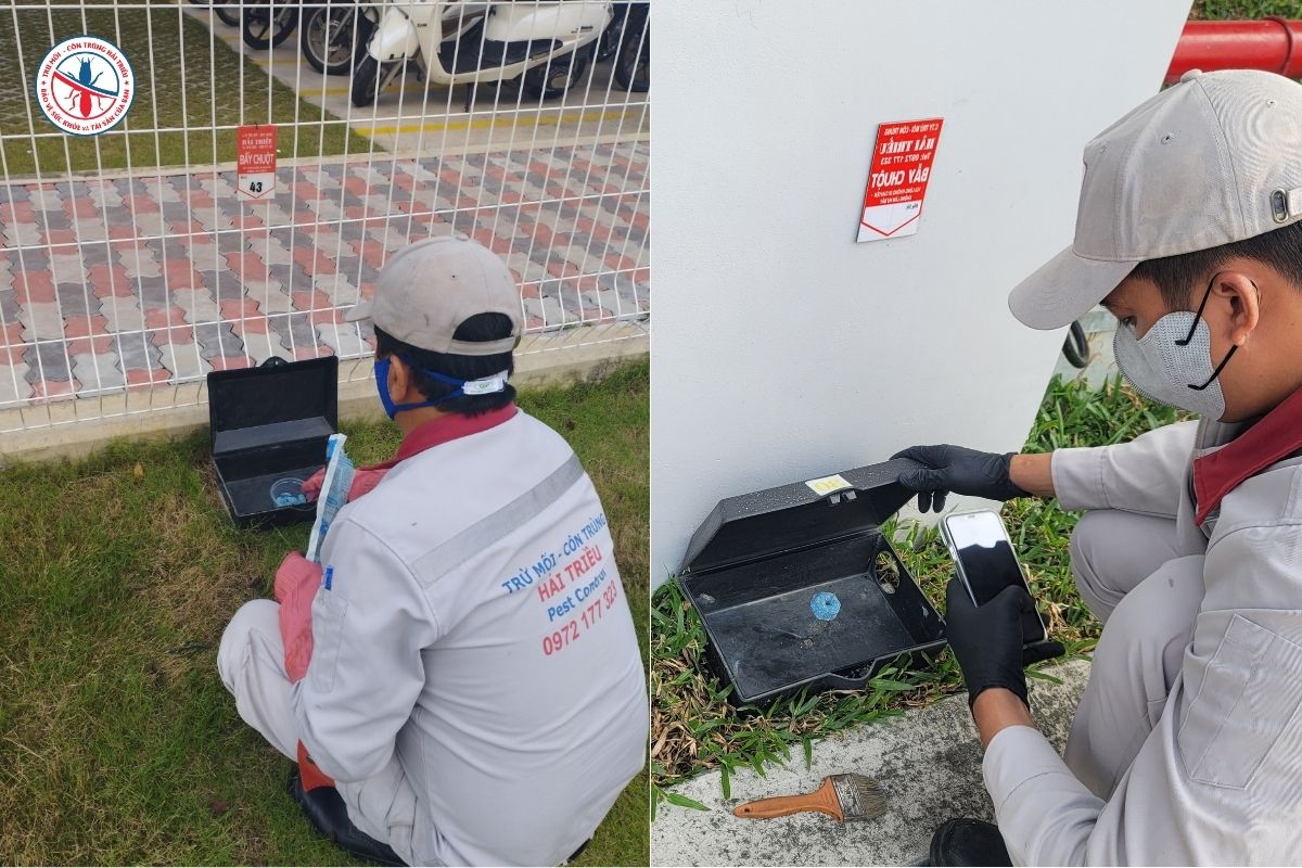 Dịch Vụ Kiểm Soát Chuột Chuyên Nghiệp Cho Kho Xưởng, Nhà Kho, KCN 5 Cac-Phuong-Phap-Kiem-Soat-Chuot-Hieu-Qua-Hien-Nay