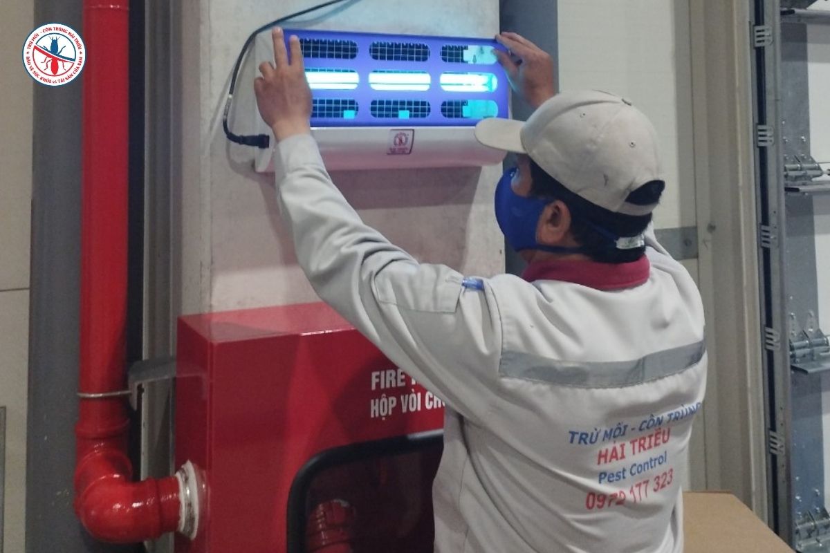 Ruồi Trong Nhà Máy Xuất Hiện Do Đâu? Nguyên Nhân Và Cách Khắc Phục Hiệu Quả 5 Cach-Khac-Phuc-Ruoi-Trong-Nha-May-Hieu-Qua