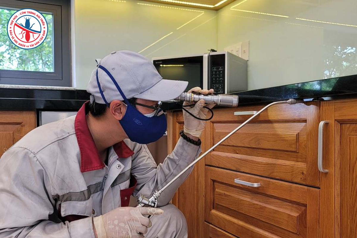Thuê Dịch Vụ Diệt Mối Bình Dương Giải Pháp Bảo Vệ Tài Sản Cho Doanh Nghiệp 4 Cach-Phong-Chong-Moi-Tai-Phat-Hieu-Qua-Cho-Doanh-Nghiep