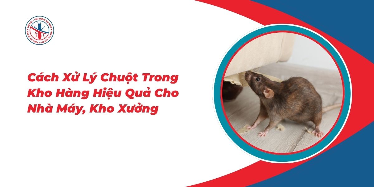 Cach-Xu-Ly-Chuot-Trong-Kho-Hang-Hieu-Qua-Cho-Nha-May-Kho-Xuong