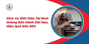 Dich-Vu-Diet-Gian-Tai-Binh-Duong-Bao-Hanh-Dai-Han-Hieu-Qua-Den-99