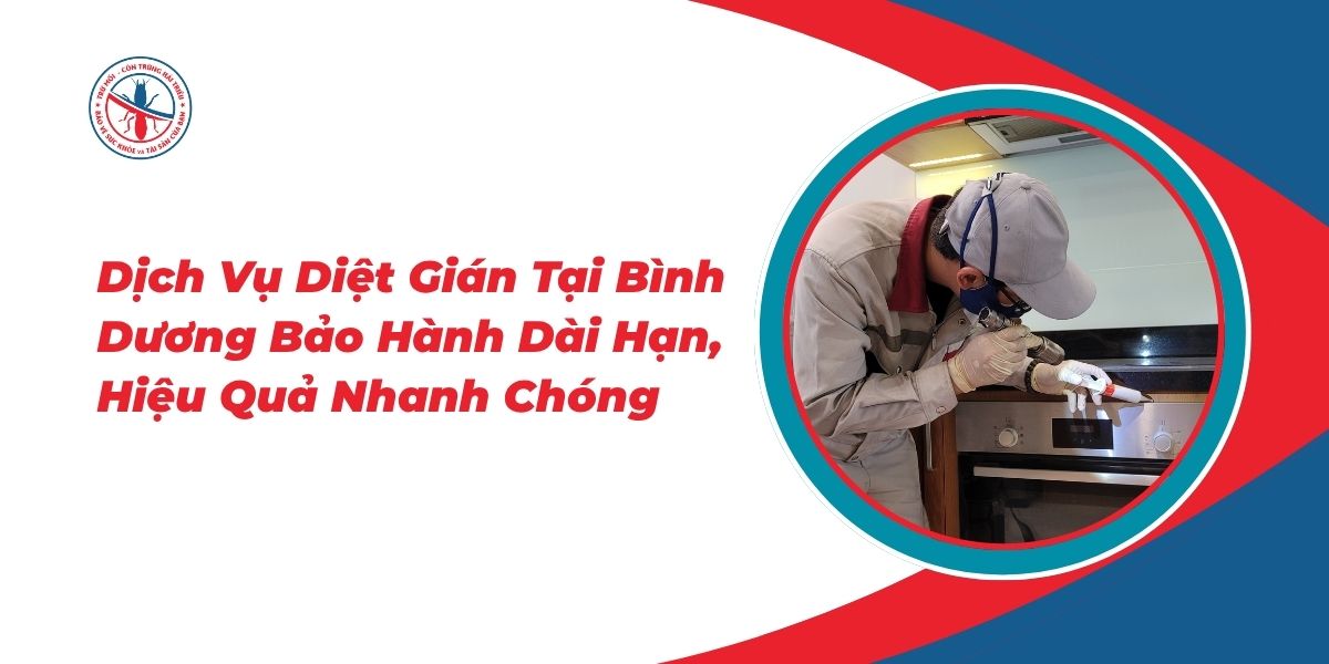 Dich-Vu-Diet-Gian-Tai-Binh-Duong-Bao-Hanh-Dai-Han-Hieu-Qua-Nhanh-Chong