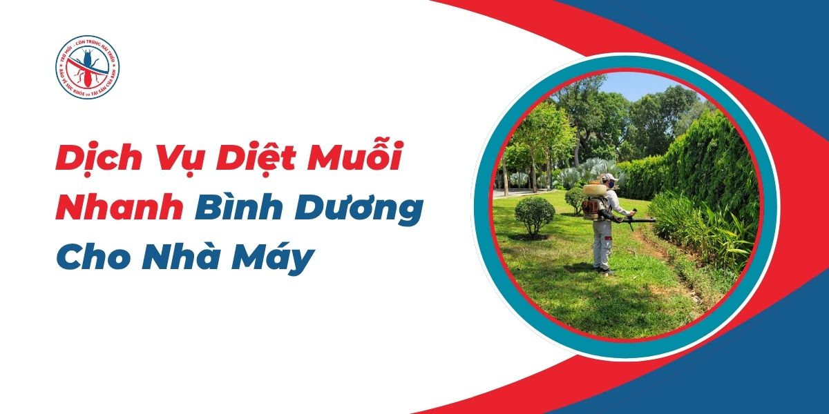 Dich-Vu-Diet-Muoi-Nhanh-Binh-Duong-Cho-Nha-May