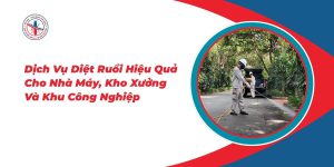 Dich-Vu-Diet-Ruoi-Hieu-Qua-Cho-Nha-May-Kho-Xuong-Va-KCN