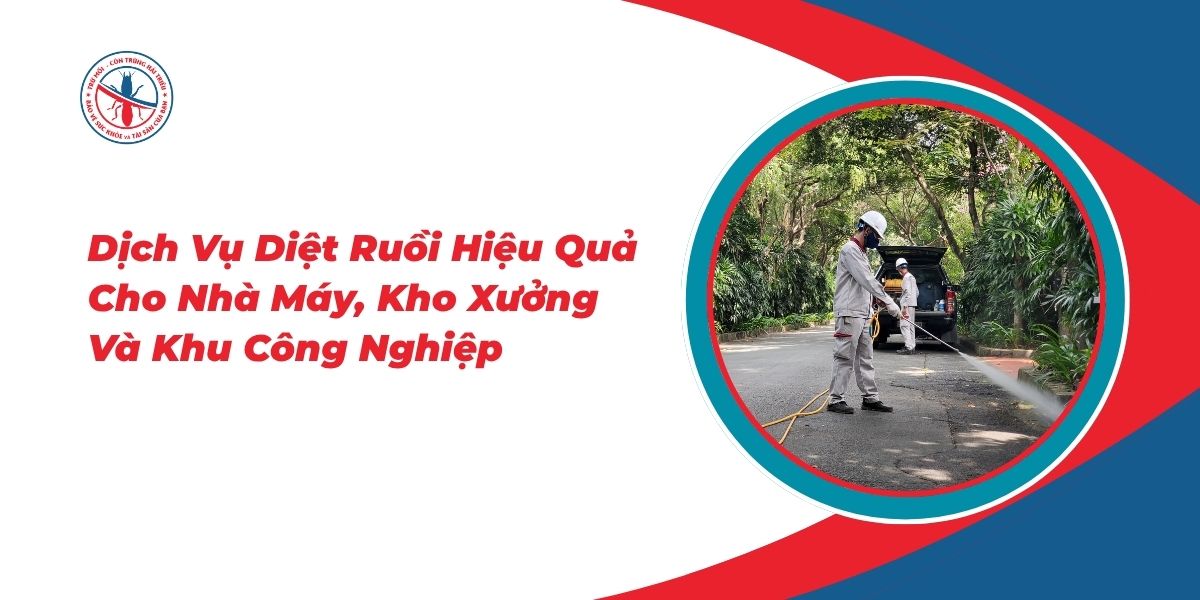 Dịch Vụ Diệt Ruồi Hiệu Quả Cho Nhà Máy, Kho Xưởng Và KCN 1 Dich-Vu-Diet-Ruoi-Hieu-Qua-Cho-Nha-May-Kho-Xuong-Va-KCN