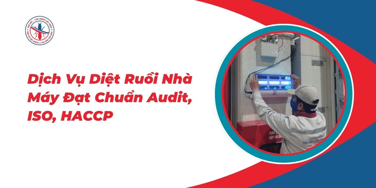 Dịch Vụ Diệt Ruồi Nhà Máy Đạt Chuẩn Audit, ISO, HACCP 1 Dich-Vu-Diet-Ruoi-Nha-May-Dat-Chuan-Audit-ISO-HACCP