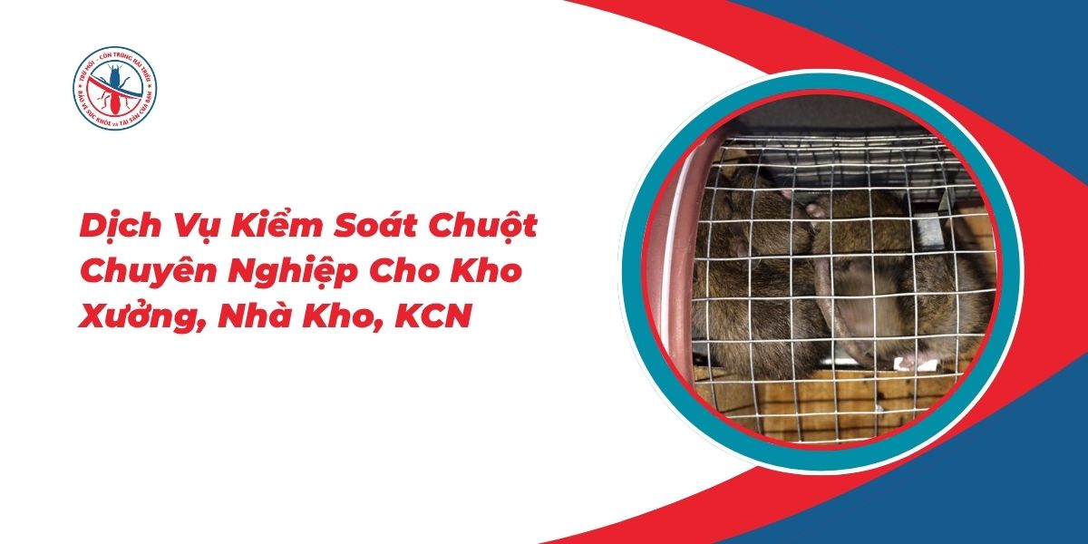 Dich-Vu-Kiem-Soat-Chuot-Chuyen-Nghiep-Cho-Kho-Xuong-Nha-Kho-KCN