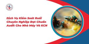 Dich-Vu-Kiem-Soat-Ruoi-Chuyen-Nghiep-Dat-Chuan-Audit-Cho-Nha-May-Va-KCN