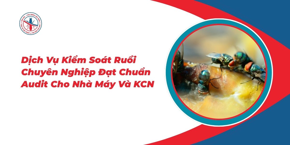 Dich-Vu-Kiem-Soat-Ruoi-Chuyen-Nghiep-Dat-Chuan-Audit-Cho-Nha-May-Va-KCN