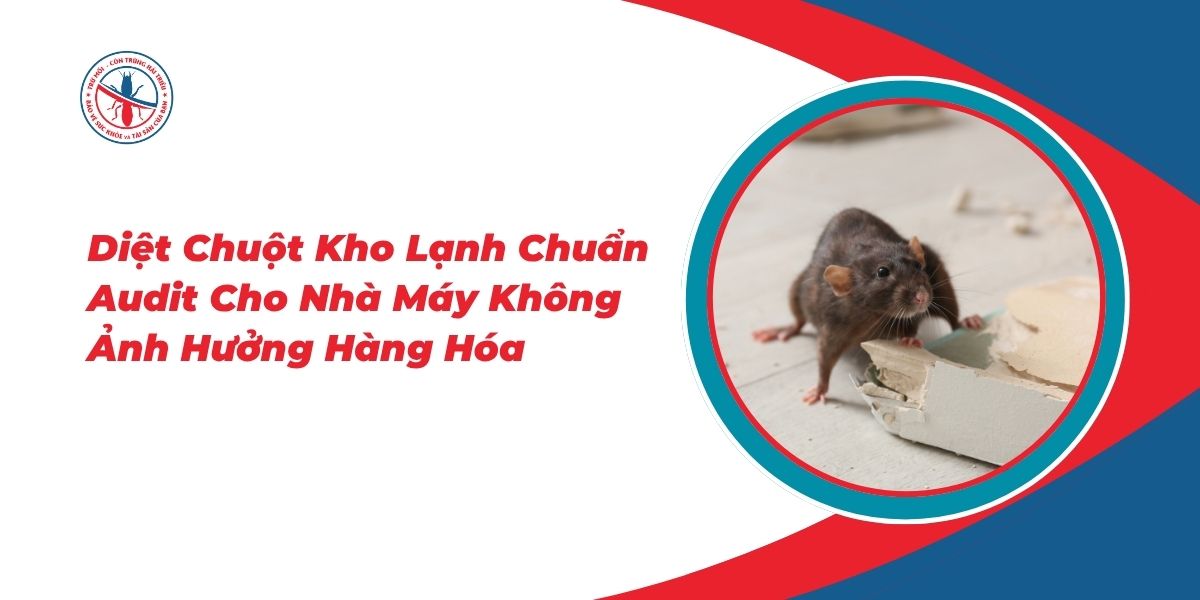 Diet-Chuot-Kho-Lanh-Chuan-Audit-Cho-Nha-May-Khong-Anh-Huong-Hang-Hoa