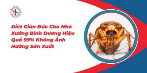 Diet-Gian-Duc-Cho-Nha-Xuong-Binh-Duong-Hieu-Qua-99-Khong-Anh-Huong-San-Xuat