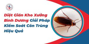 Diet-Gian-Kho-Xuong-Binh-Duong-Giai-Phap-Kiem-Soat-Con-Trung-Hieu-Qua