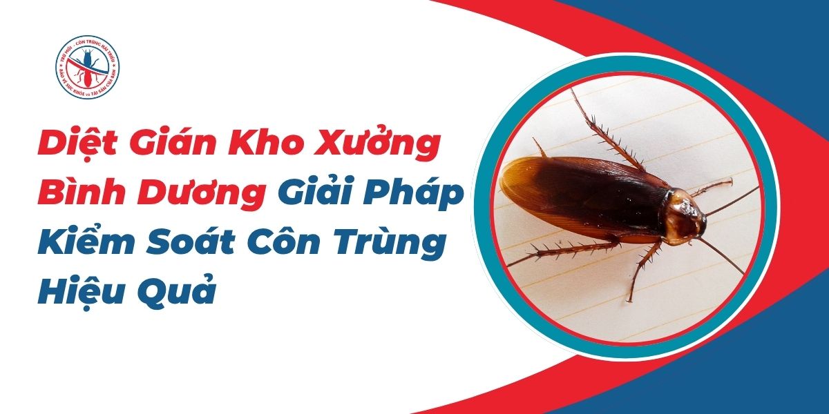 Diet-Gian-Kho-Xuong-Binh-Duong-Giai-Phap-Kiem-Soat-Con-Trung-Hieu-Qua