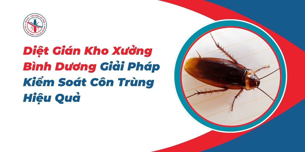 Diet-Gian-Kho-Xuong-Binh-Duong-Giai-Phap-Kiem-Soat-Con-Trung-Hieu-Qua