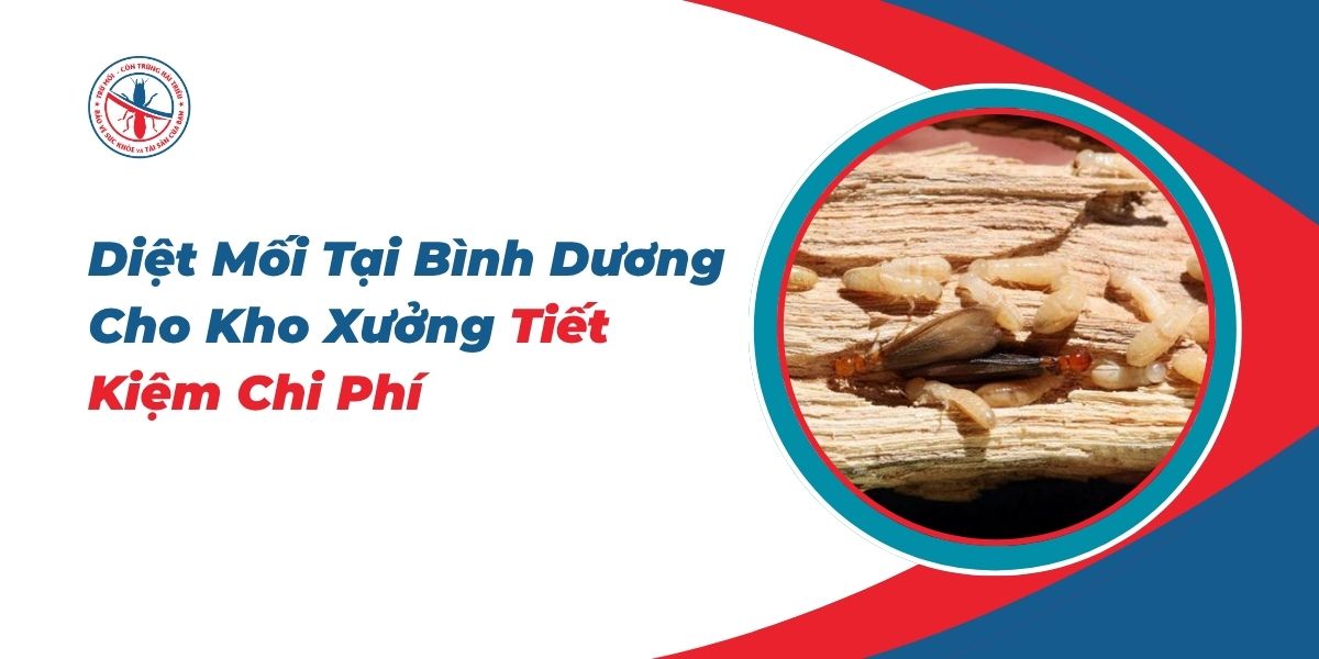 Diệt Mối Tại Bình Dương Cho Kho Xưởng Tiết Kiệm Chi Phí 1 Diet-Moi-Tai-Binh-Duong-Cho-Kho-Xuong-Tiet-Kiem-Chi-Phi
