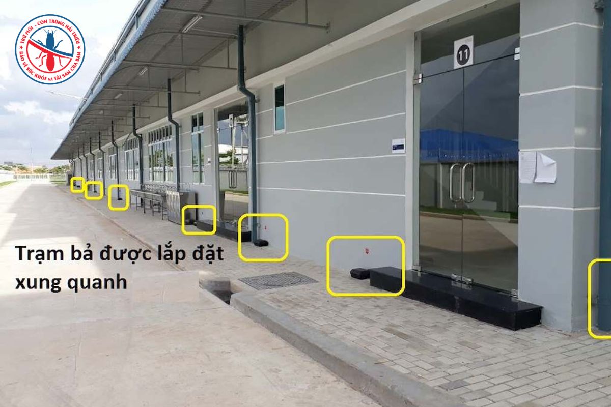 5 Nguyên Nhân Khiến Chuột Trong Nhà Máy Bùng Phát 9 Giai-Phap-Kiem-Soat-Va-Diet-Chuot-Trong-Nha-Xuong-Hieu-Qua