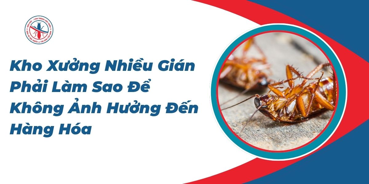 Kho-Xuong-Nhieu-Gian-Phai-Lam-Sao-De-Khong-Anh-Huong-Den-Hang-Hoa