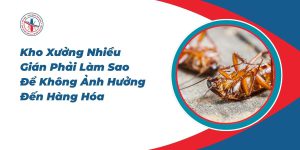 Kho-Xuong-Nhieu-Gian-Phai-Lam-Sao-De-Khong-Anh-Huong-Den-Hang-Hoa