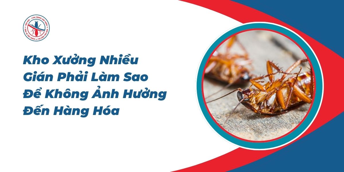 Kho-Xuong-Nhieu-Gian-Phai-Lam-Sao-De-Khong-Anh-Huong-Den-Hang-Hoa