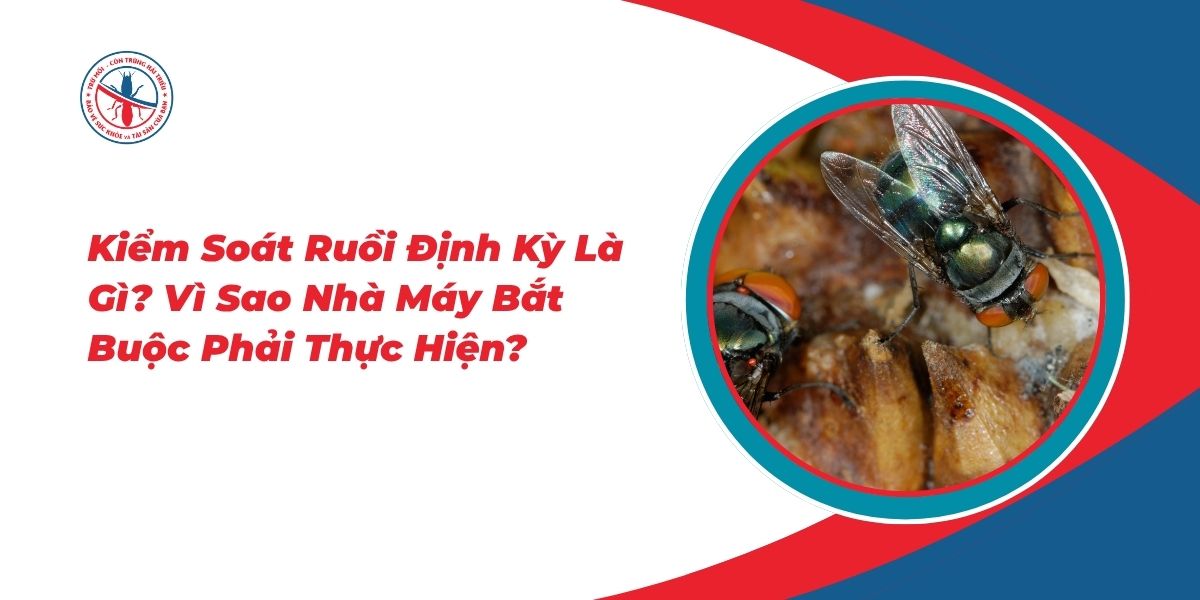 Kiem-Soat-Ruoi-Dinh-Ky-La-Gi-Vi-Sao-Nha-May-Bat-Buoc-Phai-Thuc-Hien