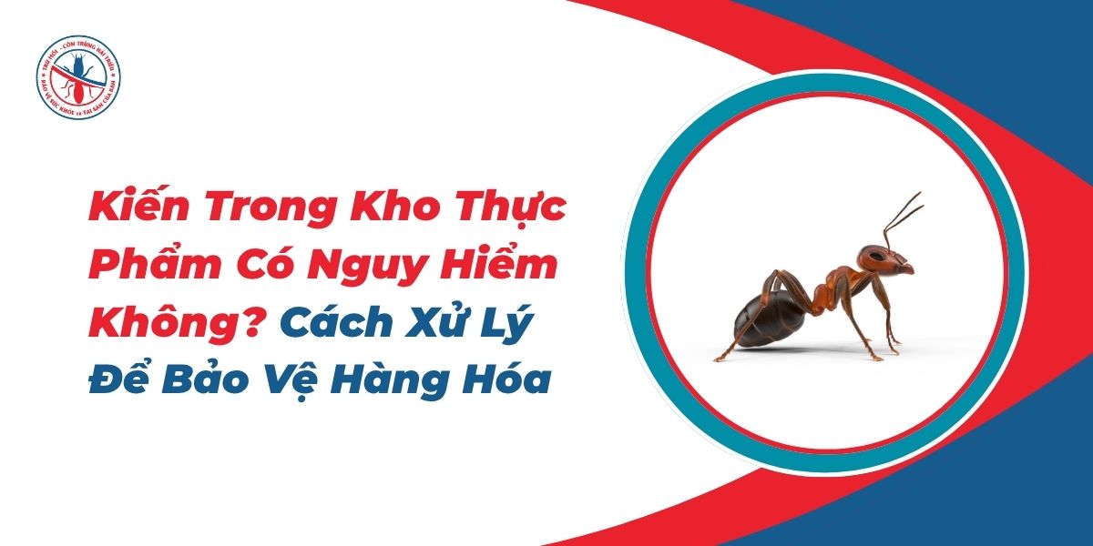 Kien-Trong-Kho-Thuc-Pham-Co-Nguy-Hiem-Khong-Cach-Xu-Ly-De-Bao-Ve-Hang-Hoa