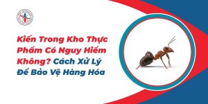 Kien-Trong-Kho-Thuc-Pham-Co-Nguy-Hiem-Khong_-Cach-Xu-Ly-De-Bao-Ve-Hang-Hoa