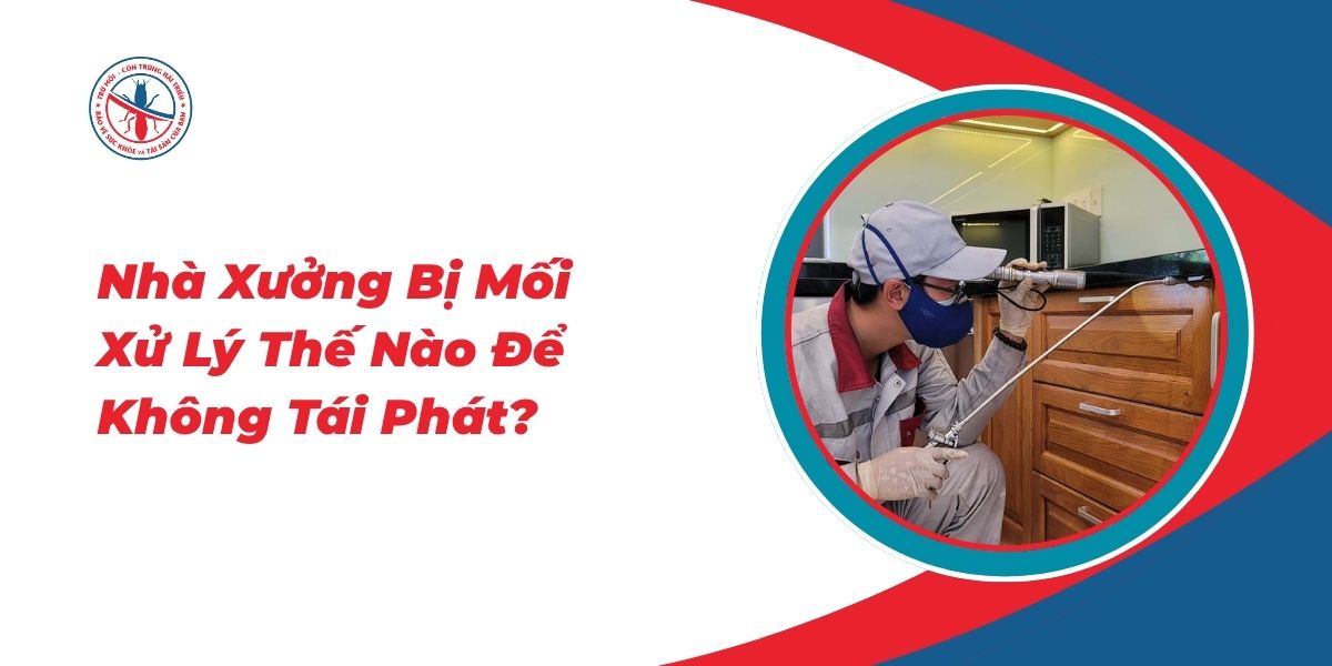 Nha-Xuong-Bi-Moi-Xu-Ly-The-Nao-De-Khong-Tai-Phat