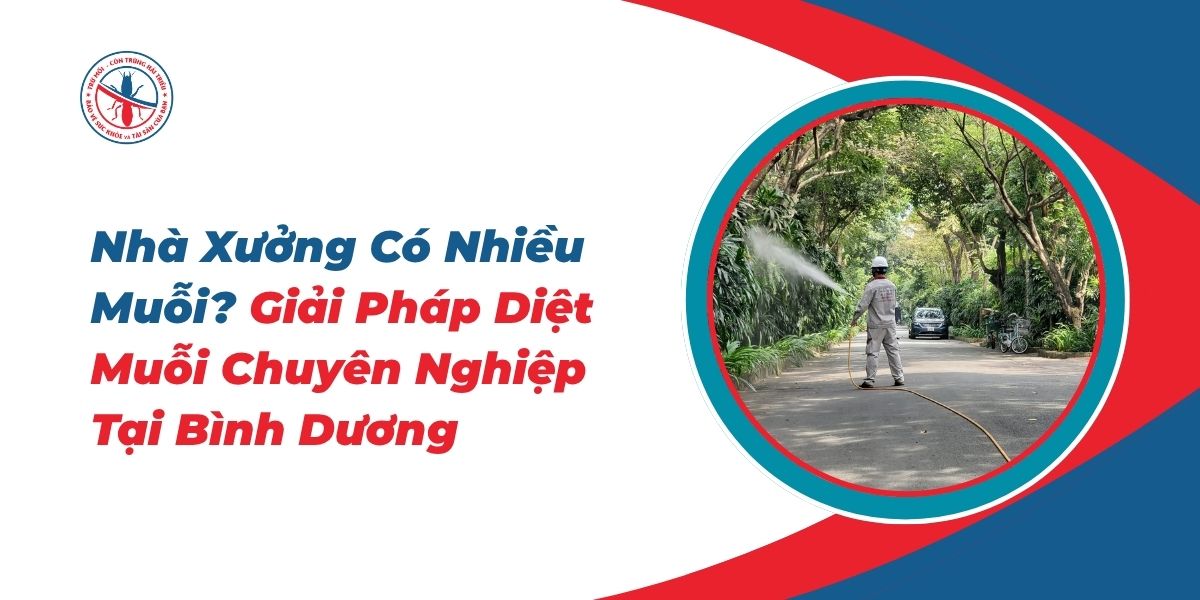 Nha-Xuong-Co-Nhieu-Muoi-Giai-Phap-Diet-Muoi-Chuyen-Nghiep-Tai-Binh-Duong