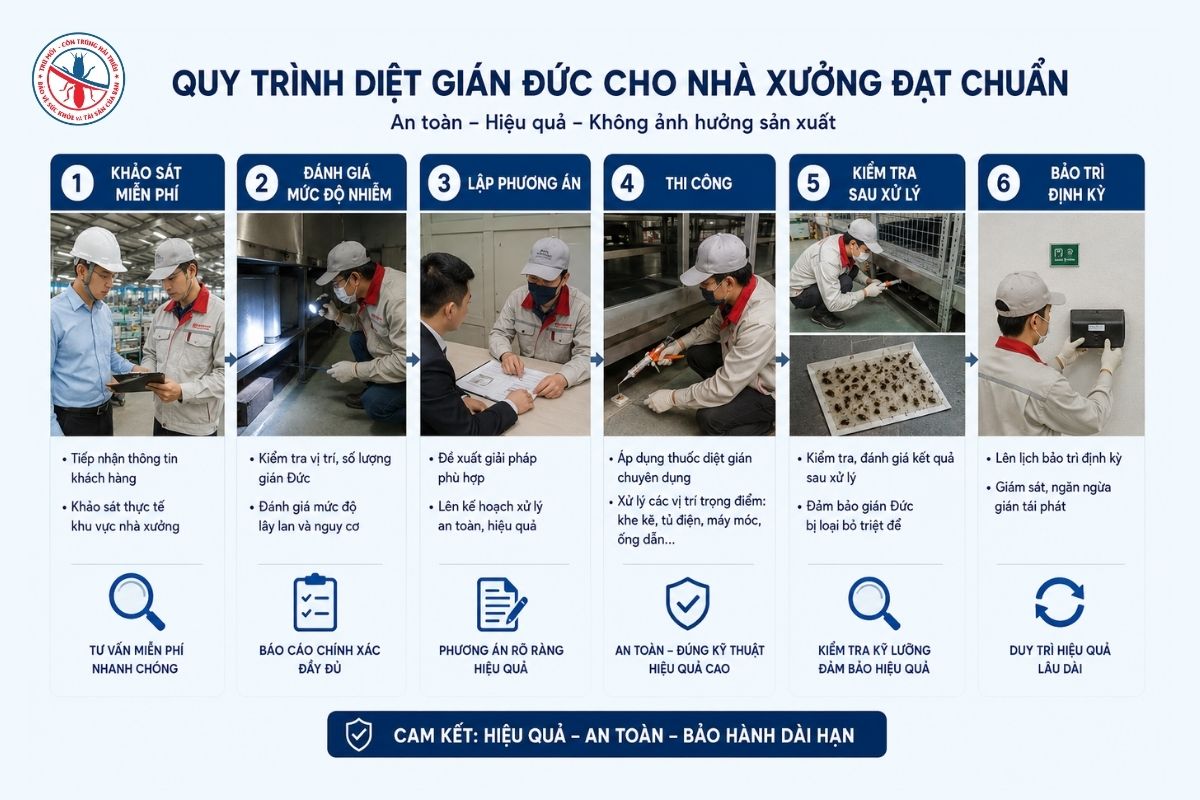 Quy-Trinh-Diet-Gian-Duc-Cho-Nha-Xuong-Dat-Chuan