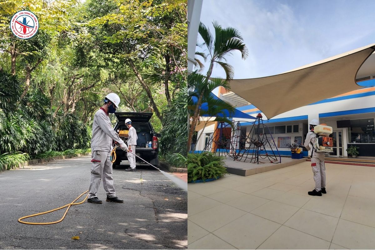 Dịch Vụ Diệt Ruồi Hiệu Quả 99% Cho Nhà Máy, Kho Xưởng Và KCN 5 Quy-Trinh-Kiem-Soat-Ruoi-Dat-Chuan-Tai-Hai-Trieu